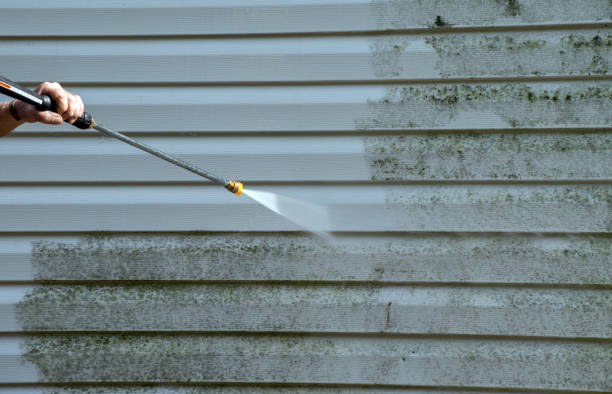 Best Local Pressure Washing Services  in Circle Pines, MN